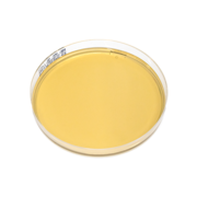 Bacteroides bile esculin (BBE) agar plate
