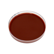 Thayer-Martin agar, selective agar plate