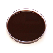 Thayer-Martin agar, selektiv agarplatta