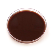 Choklad (McLeod) agarplatta