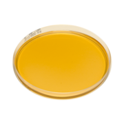 Malt extract agar (unselective)