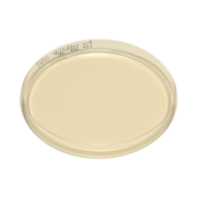 Potato dextrose agar plate