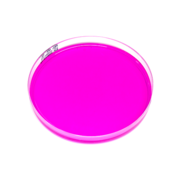 Rose-Bengal Hagem (RBH) agarplatta