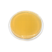 Trypticase soy agar (TSA) contact plate