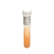 Urea agar, 6 ml tube, slanted surface