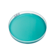 WL nutrient agar, selective plate