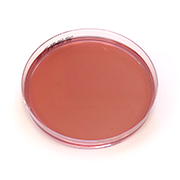 Cefsulodin-Irgasan®- novobiocin (CIN) agar plate for Yersinia