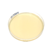 Chromogenic CPE agar plate