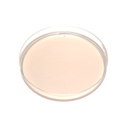 Chromogenic Salmonella agar plate