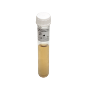 Enrichment tube for vancomycin-resistant enterococci