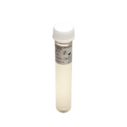 Sabouraud dextrose broth, 10 ml tube