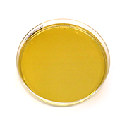 Lactobacilli MRS agarplatta